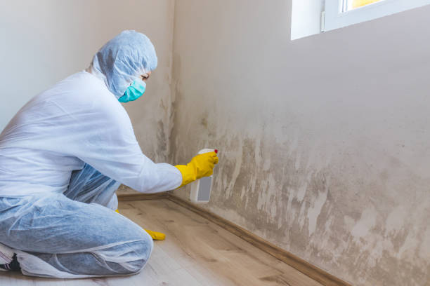 Licensed Mold Remediation service in Madison, FL - 24 Hour Mold Removal